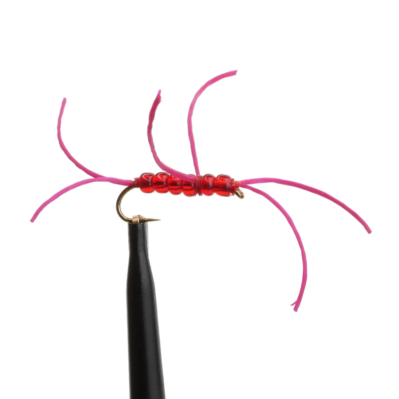 BeadHead Apps Bloodworm Hot Pink