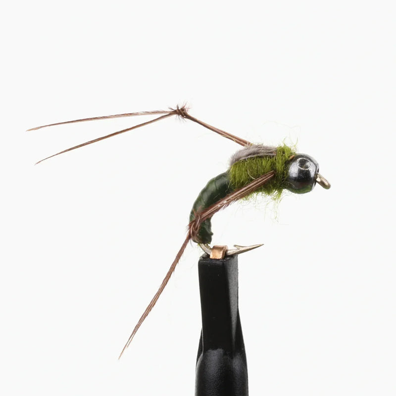 Weighted Caddis Pupa