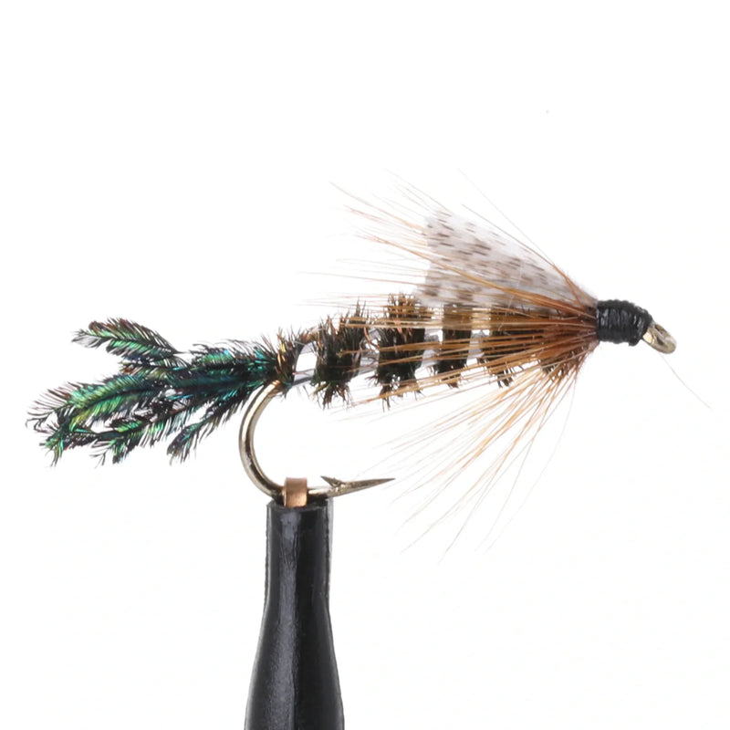 Zug Bug