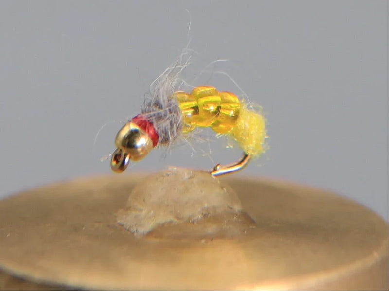 BeadHead Killer Caddis Yellow